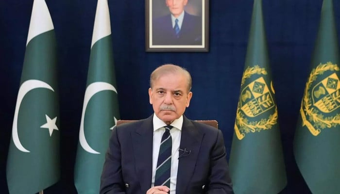Pakistan Vows to Strengthen Global Peace via UN Missions