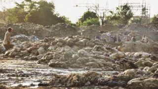 Punjab Imposes Rs50,000 Fine for Illegal Offal Disposal