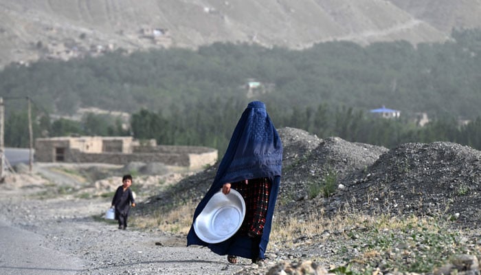 UN Experts Condemn Afghan Morality Police Crackdown on Women