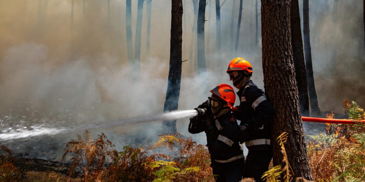 Decoding Wildfire Jargon: Fixed, Contained, or Mastered?