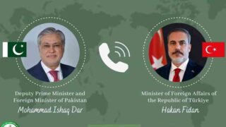 Pakistan, Turkey FMs Discuss Regional Peace Ahead of Istanbul Summit