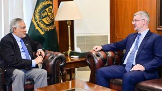 Pakistan, Russia Vow Stronger Ties, Regional Peace