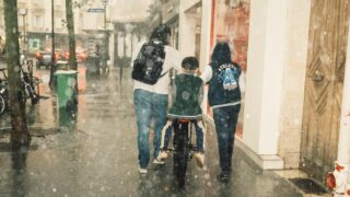 Violent Storms Batter Paris Region, Uproot Trees