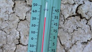 France Expands Heatwave Alert to Seven New Departments