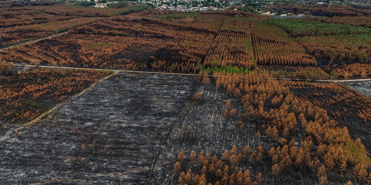 France's Largest Wildfire Since 1949 Declared Extinguished in Gironde