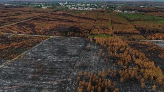 France's Largest Wildfire Since 1949 Declared Extinguished in Gironde