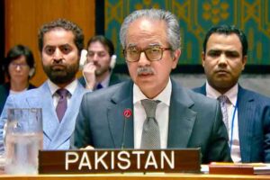 Pakistan Condemns Houthi Attacks on Red Sea Shipping