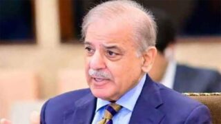 PM Shehbaz Reaffirms Pakistan's Commitment to Democracy