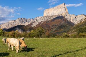 Six Autumn Escapes in France You Can Reach Without a Car