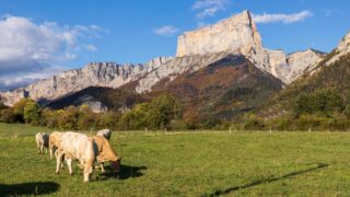 Six Autumn Escapes in France You Can Reach Without a Car