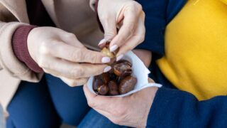 Drought and Heatwaves Halve Ardèche Chestnut Harvest as Europe Braces for Price Rises