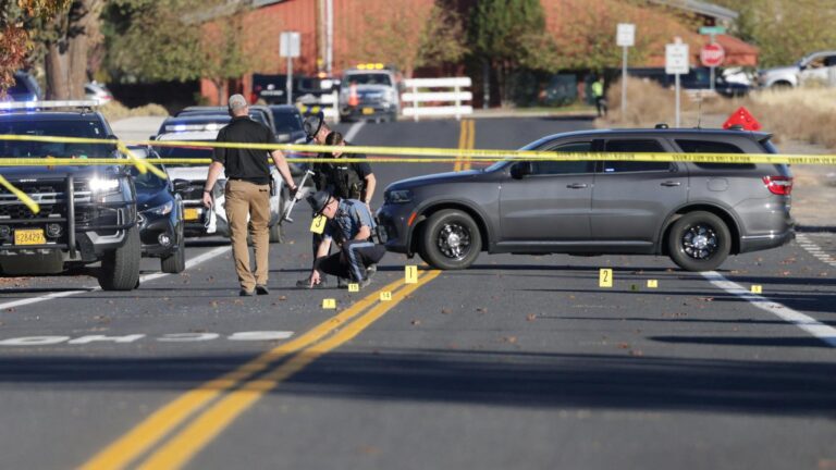 Teen Gunman Kills Four at Oregon Primary School Before Bystander Intervenes