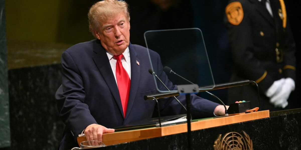 Swiss Ex-Model Accuses Trump of Brutal 1993 Rape in Report by House Democrats