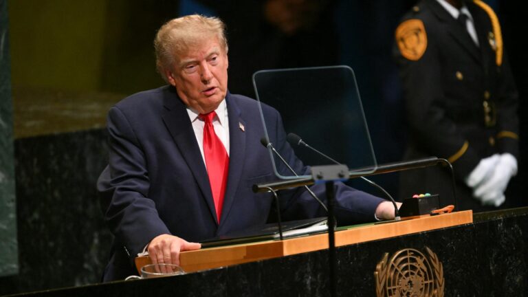 Swiss Ex-Model Accuses Trump of Brutal 1993 Rape in Report by House Democrats